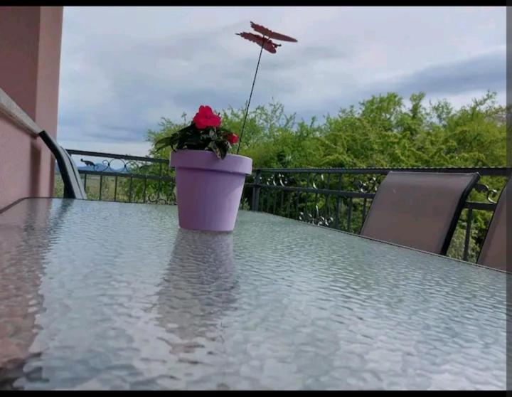 Apartman Hope Zmijavci 외부 사진